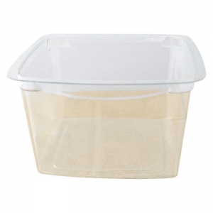 Castaway Reveal Container Square Clear Large 300ml 90 x 90 x 42mm