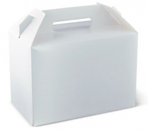 Detpak Carry Pack Extra Large 250 x 150 x 175mm 6400ml