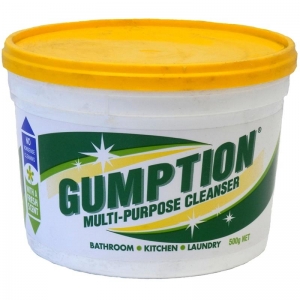 Gumption Paste Multi Purpose Cleanser 500g