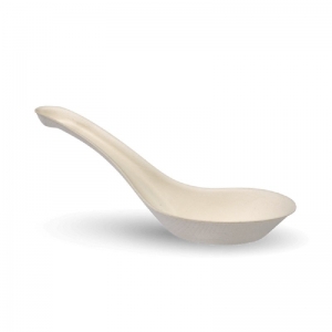 CHINESE SOUP SPOON 14CM PULP - Click for more info